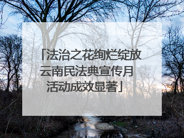 法治之花绚烂绽放 云南民法典宣传月活动成效显著