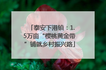 泰安下港镇：1.5万亩“樱桃黄金带”铺就乡村振兴路
