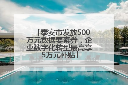 泰安市发放500万元数据要素券，企业数字化转型最高享5万元补贴
