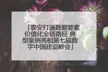 泰安打通数据要素价值化全链路径 典型案例亮相第七届数字中国建设峰会