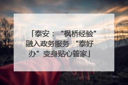 泰安：“枫桥经验”融入政务服务 “泰好办”变身贴心管家
