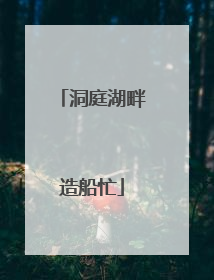洞庭湖畔造船忙