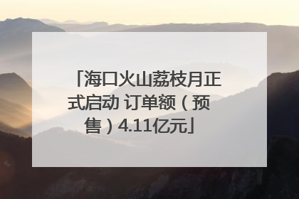 海口火山荔枝月正式启动 订单额（预售）4.11亿元