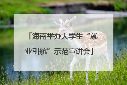 海南举办大学生“就业引航”示范宣讲会