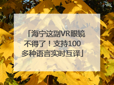 海宁这副VR眼镜不得了！支持100多种语言实时互译