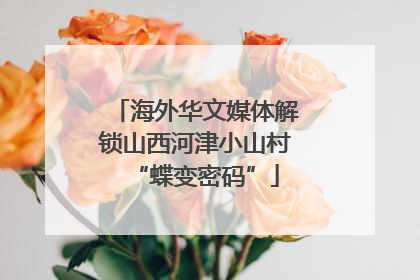 海外华文媒体解锁山西河津小山村“蝶变密码”