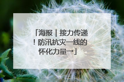 海报｜接力传递！防汛抗灾一线的怀化力量→