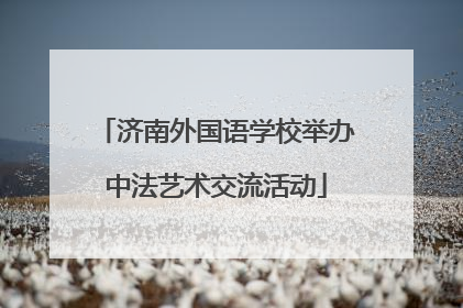 济南外国语学校举办中法艺术交流活动