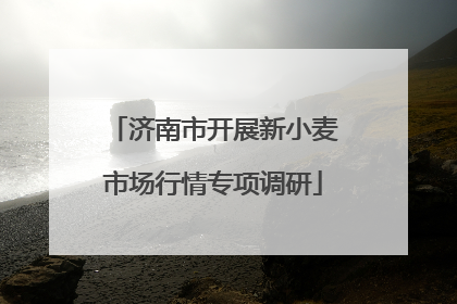 济南市开展新小麦市场行情专项调研
