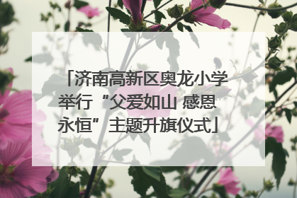 济南高新区奥龙小学举行“父爱如山 感恩永恒”主题升旗仪式