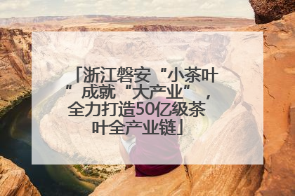 浙江磐安“小茶叶”成就“大产业”，全力打造50亿级茶叶全产业链