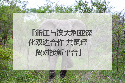 浙江与澳大利亚深化双边合作 共筑经贸对接新平台