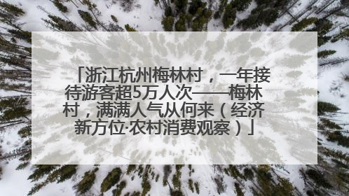浙江杭州梅林村，一年接待游客超5万人次——梅林村，满满人气从何来（经济新方位·农村消费观察）