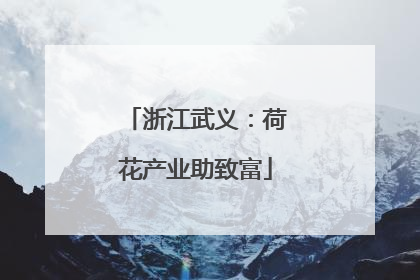 浙江武义：荷花产业助致富