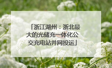 浙江湖州：浙北最大的光储充一体化公交充电站并网投运