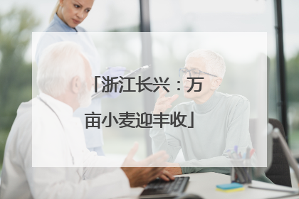 浙江长兴：万亩小麦迎丰收