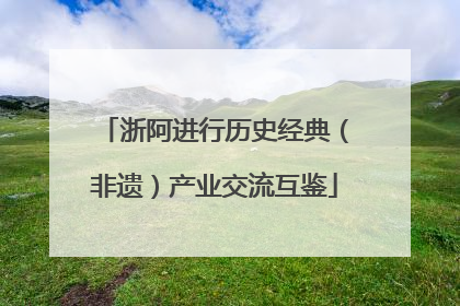 浙阿进行历史经典（非遗）产业交流互鉴