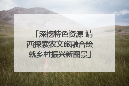 深挖特色资源 靖西探索农文旅融合绘就乡村振兴新图景
