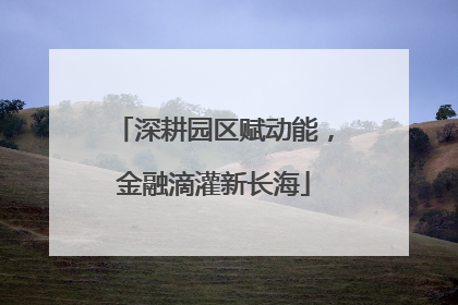 深耕园区赋动能，金融滴灌新长海