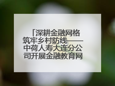 深耕金融网格 筑牢乡村防线——中荷人寿大连分公司开展金融教育网格化宣传活动