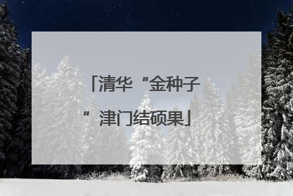 清华“金种子”津门结硕果