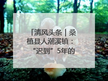清风头条｜桑植县人潮溪镇：“迟到”5年的生态林补偿金