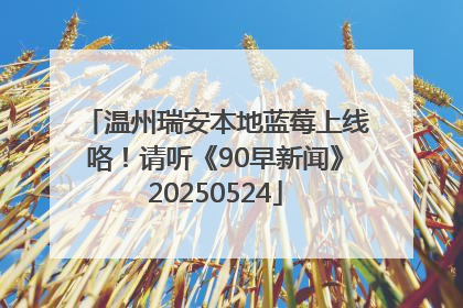 温州瑞安本地蓝莓上线咯！请听《90早新闻》20250524