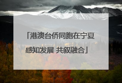 港澳台侨同胞在宁夏感知发展 共叙融合