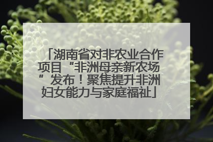 湖南省对非农业合作项目“非洲母亲新农场”发布！聚焦提升非洲妇女能力与家庭福祉