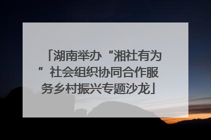 湖南举办“湘社有为”社会组织协同合作服务乡村振兴专题沙龙