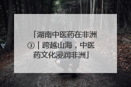 湖南中医药在非洲③｜跨越山海，中医药文化浸润非洲