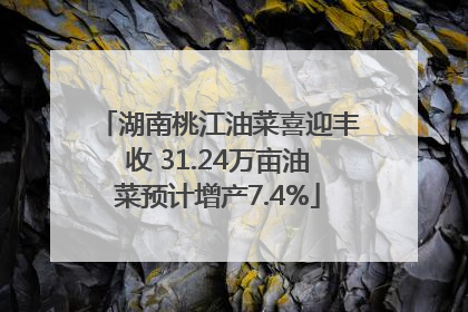 湖南桃江油菜喜迎丰收 31.24万亩油菜预计增产7.4%