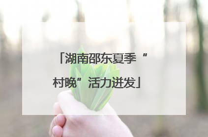 湖南邵东夏季“村晚”活力迸发