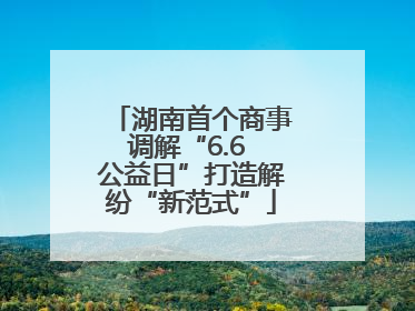 湖南首个商事调解“6.6 公益日”打造解纷“新范式”
