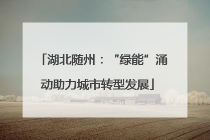 湖北随州：“绿能”涌动助力城市转型发展
