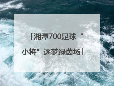 湘潭700足球“小将”逐梦绿茵场