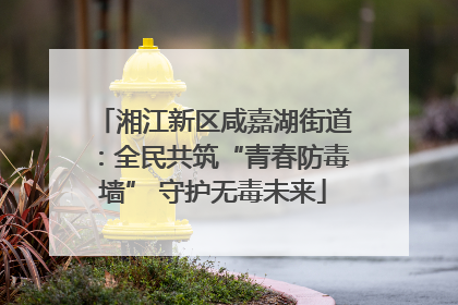 湘江新区咸嘉湖街道：全民共筑“青春防毒墙” 守护无毒未来