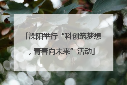 溧阳举行“科创筑梦想，青春向未来”活动