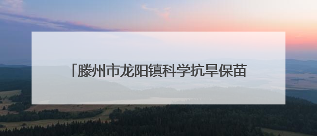 滕州市龙阳镇科学抗旱保苗 力保万亩农田“解渴”