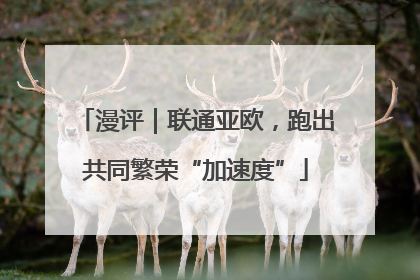 漫评｜联通亚欧，跑出共同繁荣“加速度”