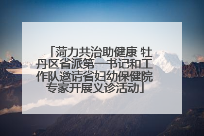 菏力共治助健康 牡丹区省派第一书记和工作队邀请省妇幼保健院专家开展义诊活动