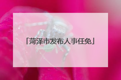 菏泽市发布人事任免
