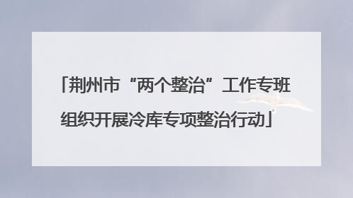 荆州市“两个整治”工作专班组织开展冷库专项整治行动