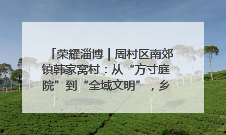 荣耀淄博｜周村区南郊镇韩家窝村：从“方寸庭院”到“全域文明”，乡村振兴的“美学革命”