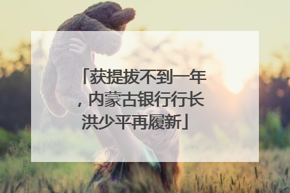 获提拔不到一年，内蒙古银行行长洪少平再履新