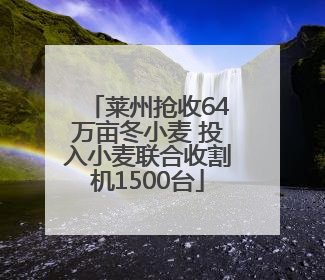 莱州抢收64万亩冬小麦 投入小麦联合收割机1500台