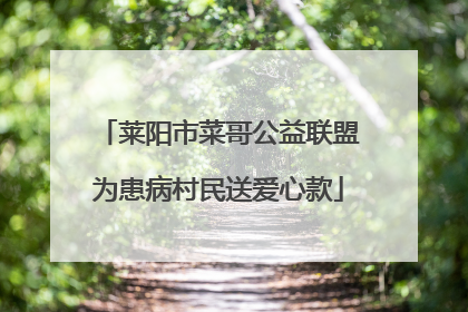 莱阳市菜哥公益联盟为患病村民送爱心款