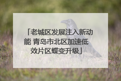 老城区发展注入新动能 青岛市北区加速低效片区蝶变升级