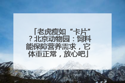 老虎瘦如“卡片”？北京动物园：饲料能保障营养需求，它体重正常，放心吧