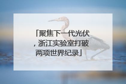 聚焦下一代光伏，浙江实验室打破两项世界纪录